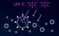 UVC-Entkeimung